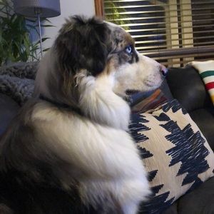 Meet your Posher, Tina